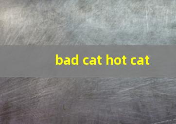 bad cat hot cat